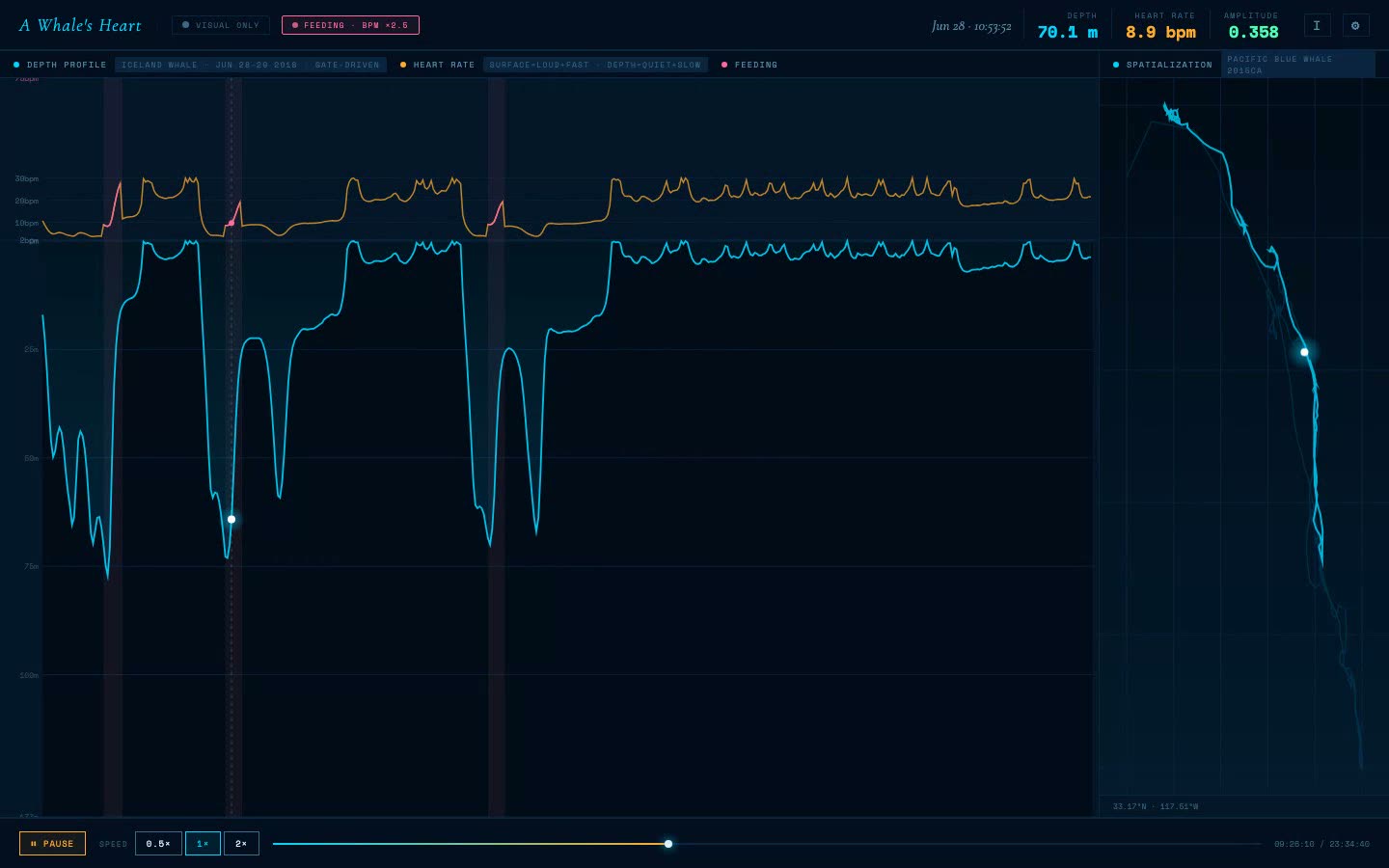 A Whale's Heart: depth profile and heart rate of a diving whale