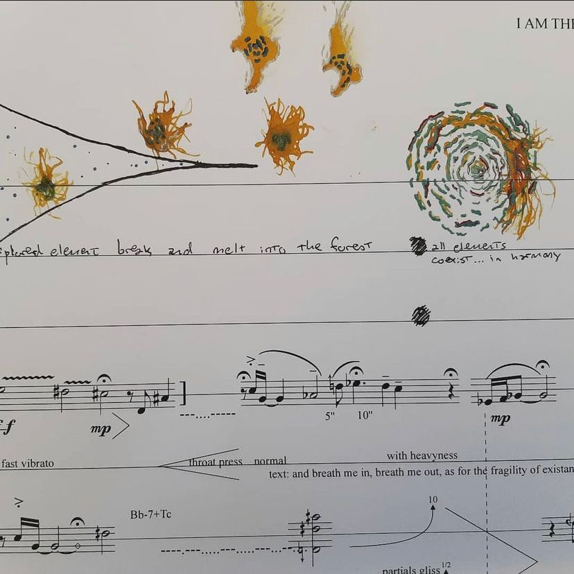 I Am The Forest graphic score