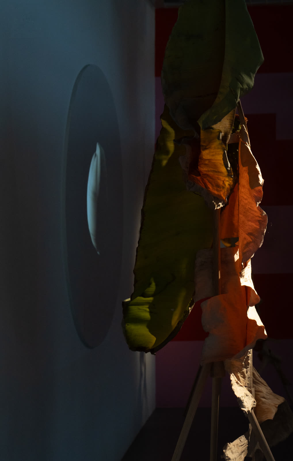 A dried leaf and its shadow in a dark room