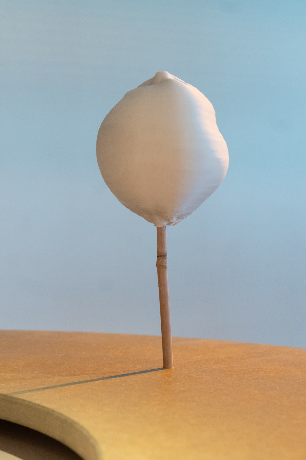 A single data sculpture on its stem